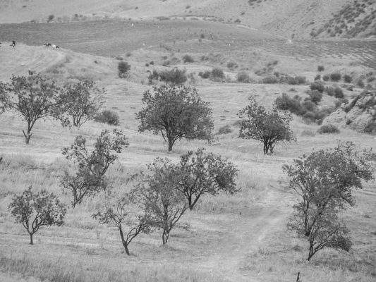 Afrika Sidi bell Abbés 28 of 50
