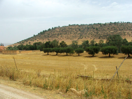 Afrika Sidi bell Abbés 37 of 50