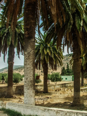Afrika Sidi bell Abbés 38 of 50