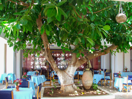 Afrika Sidi bell Abbés 40 of 50