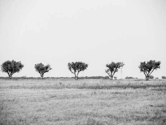 Afrika Sidi bell Abbés 8 of 50